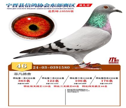 رP(gun)46