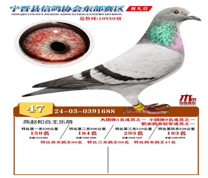 رP(gun)47