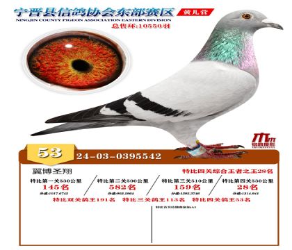 رP(gun)53