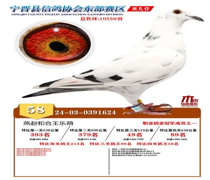 رP(gun)58