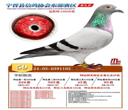 رP(gun)59