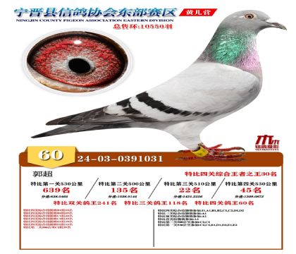 رP(gun)60