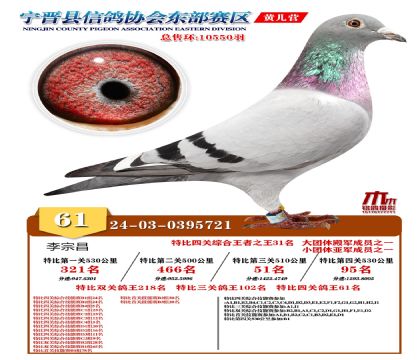 رP(gun)61