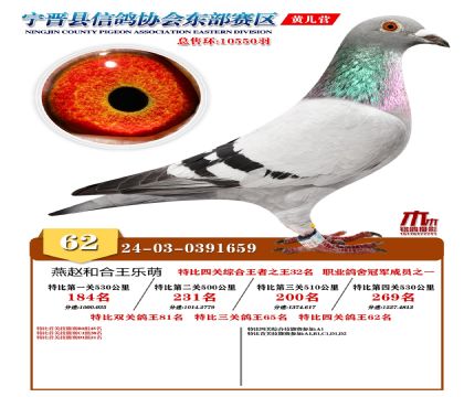 رP(gun)62