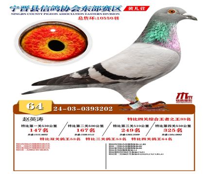 رP(gun)64