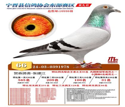 رP(gun)66