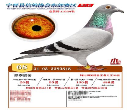 رP(gun)68