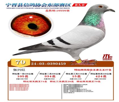 رP(gun)70