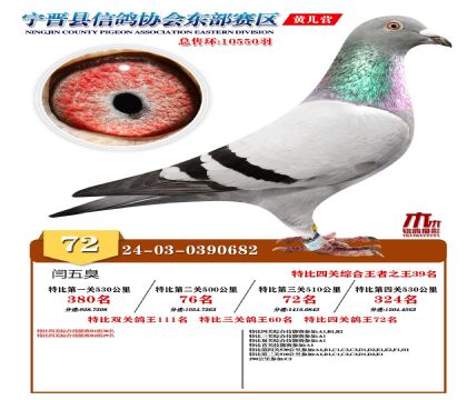 رP(gun)72