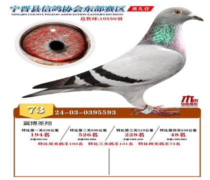 رP(gun)73