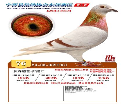 رP(gun)76