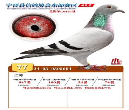 رP(gun)77