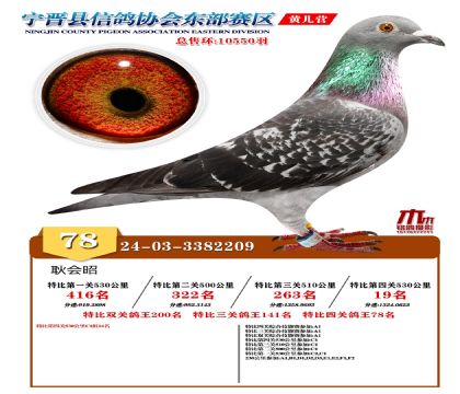 رP(gun)78