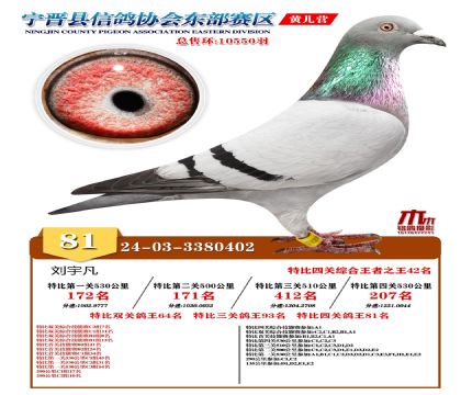 رP(gun)81