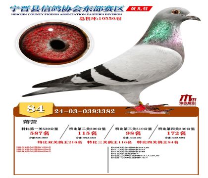 رP(gun)84