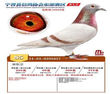رP(gun)85