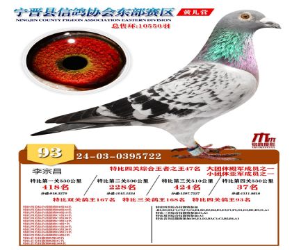 رP(gun)93