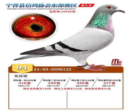 رP(gun)94