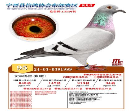 رP(gun)95