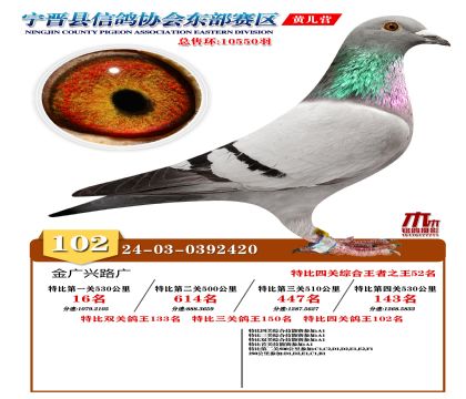 رP(gun)102