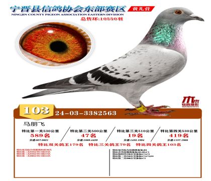 رP(gun)103