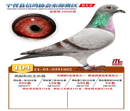 رP(gun)104