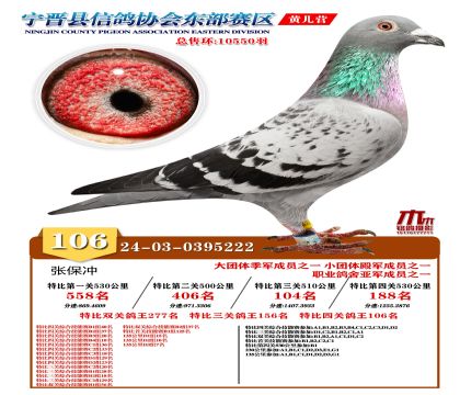 رP(gun)106