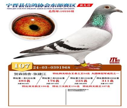 رP(gun)107