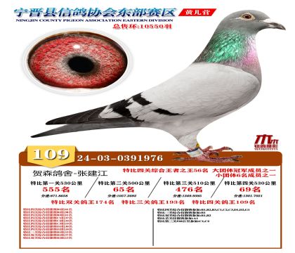 رP(gun)109