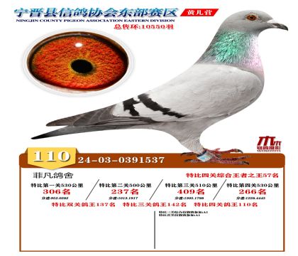 رP(gun)110