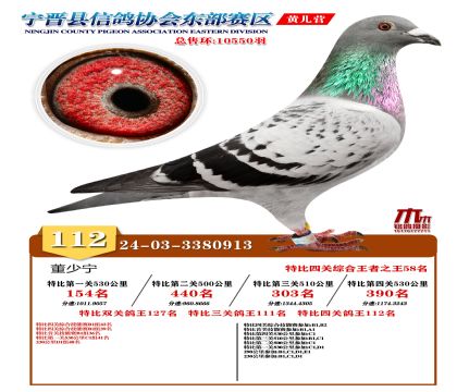 رP(gun)112