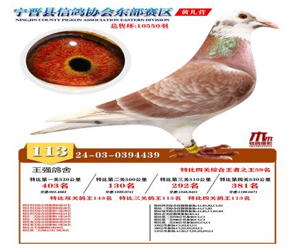 رP(gun)113