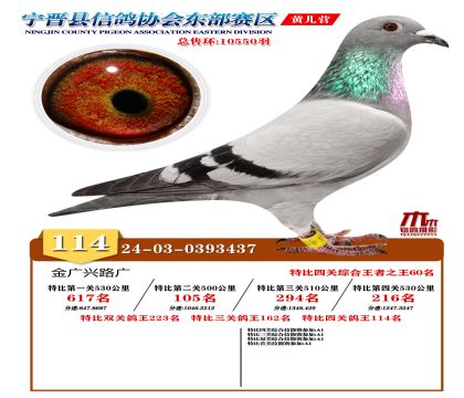 رP(gun)114