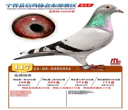 رP(gun)117