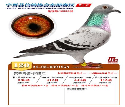 رP(gun)120