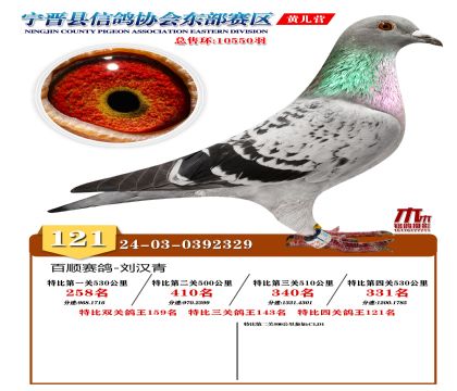 رP(gun)121