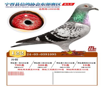 رP(gun)122