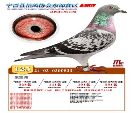 رP(gun)125