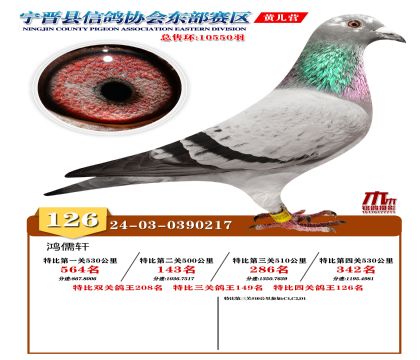 رP(gun)126