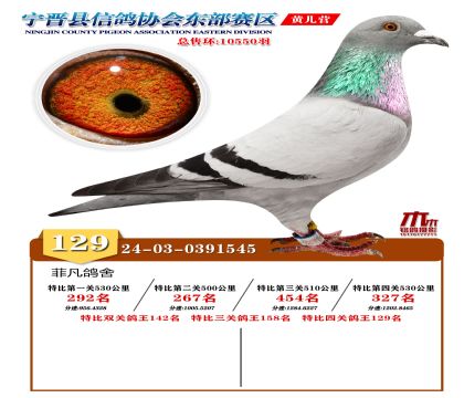 رP(gun)129