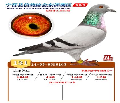 رP(gun)131
