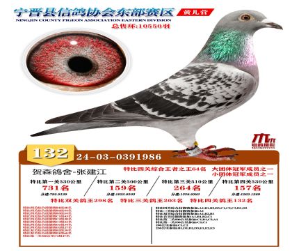 رP(gun)132