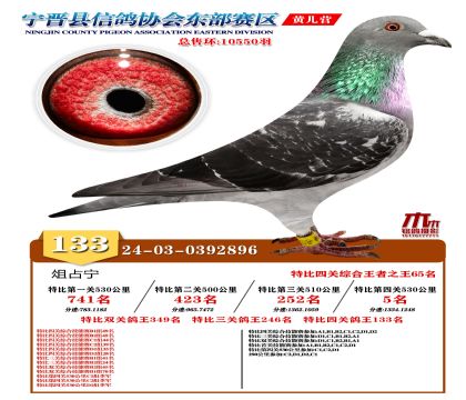 رP(gun)133
