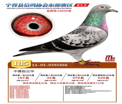 رP(gun)135