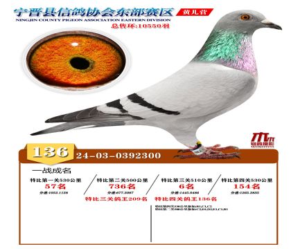 رP(gun)136