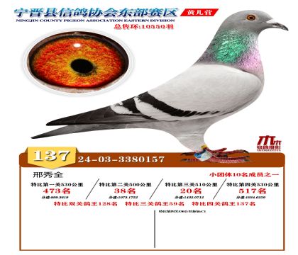 رP(gun)137