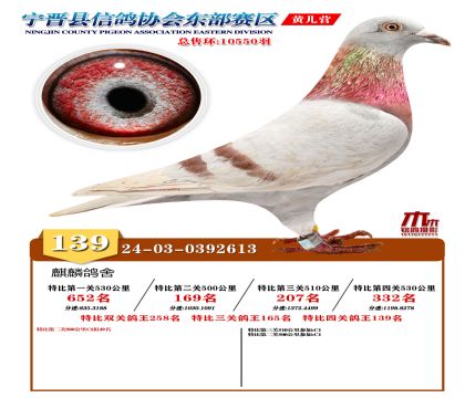 رP(gun)139