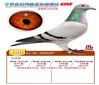 رP(gun)143