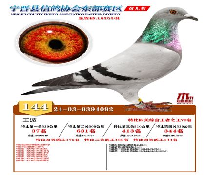 رP(gun)144