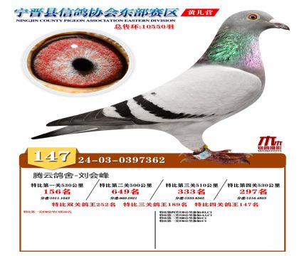 رP(gun)147